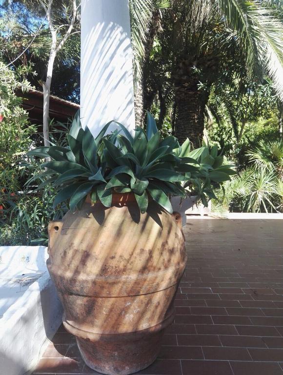 Cala Cavone Guest House Ponza Exterior foto